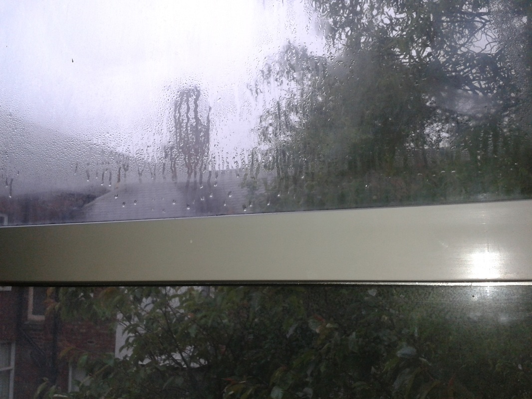 Example of hermeticaly sealed unit failed UPVC Window Repairs